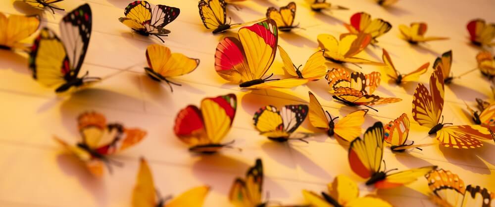 Wall decorations with colorful butterflies - __ drz __