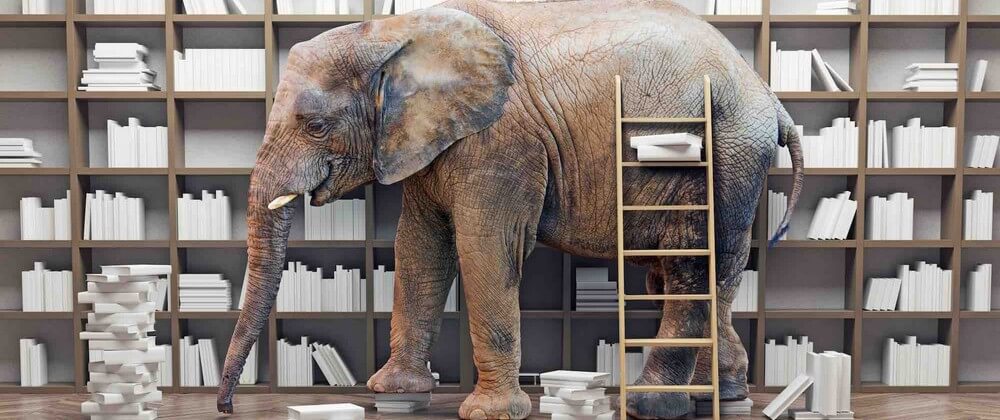 An elephant in the room with book shelves - Victor Zastolskiy