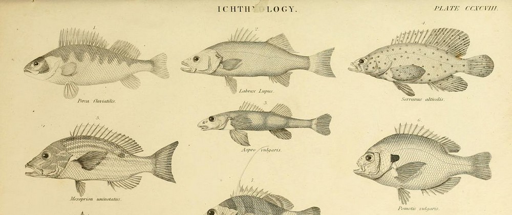 An introduction to the natural history of fishes - BHL